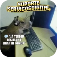 Suporte TI suporte web consultoria web webdesigner são sebastião caraguatatuba